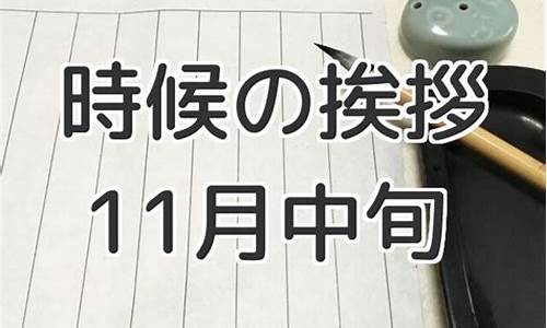 2013年11月中旬油价调整时间_2013年油价为什么暴涨